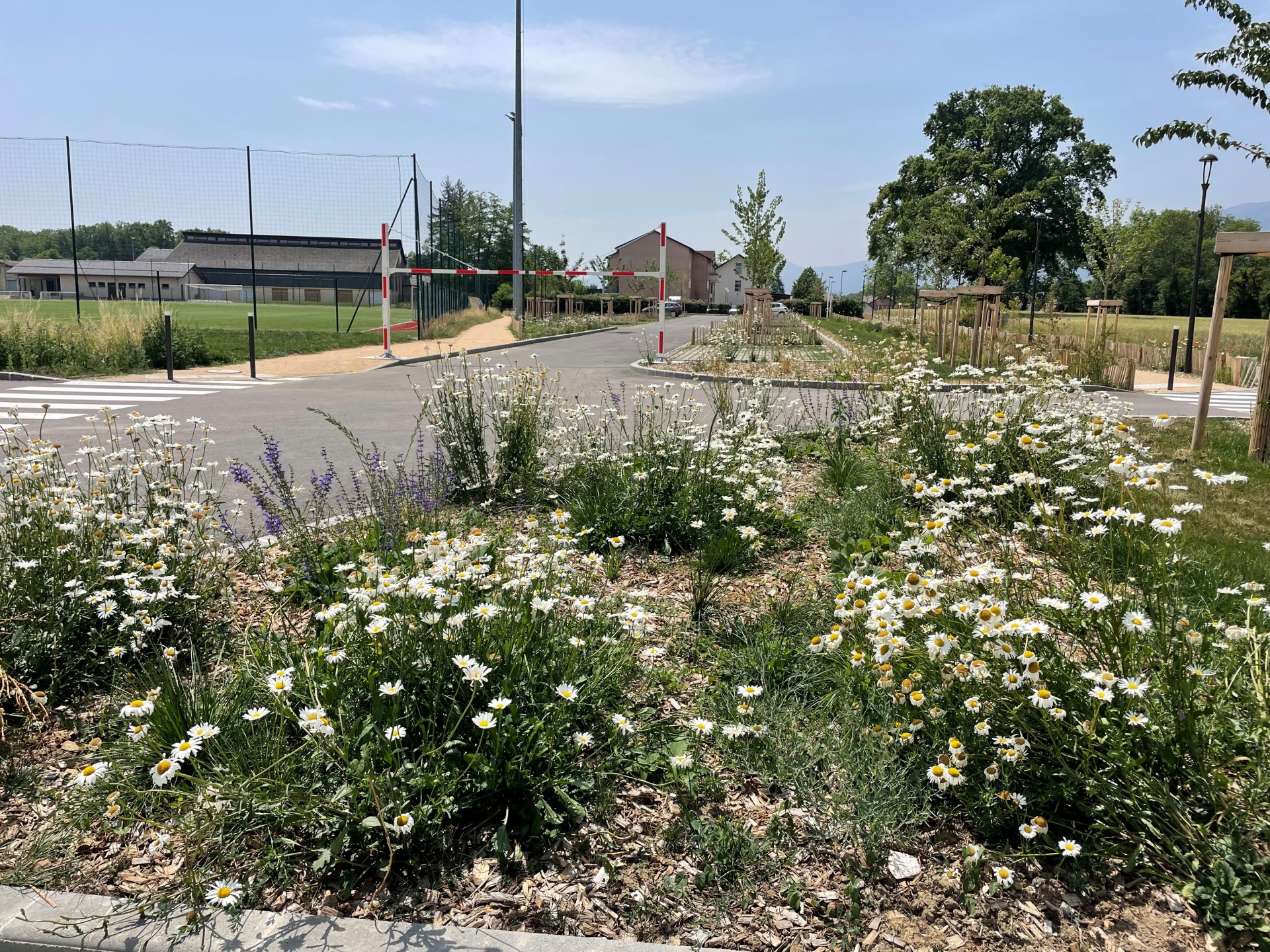 080cdede32d5bbd28075c954bb735d28803918ce