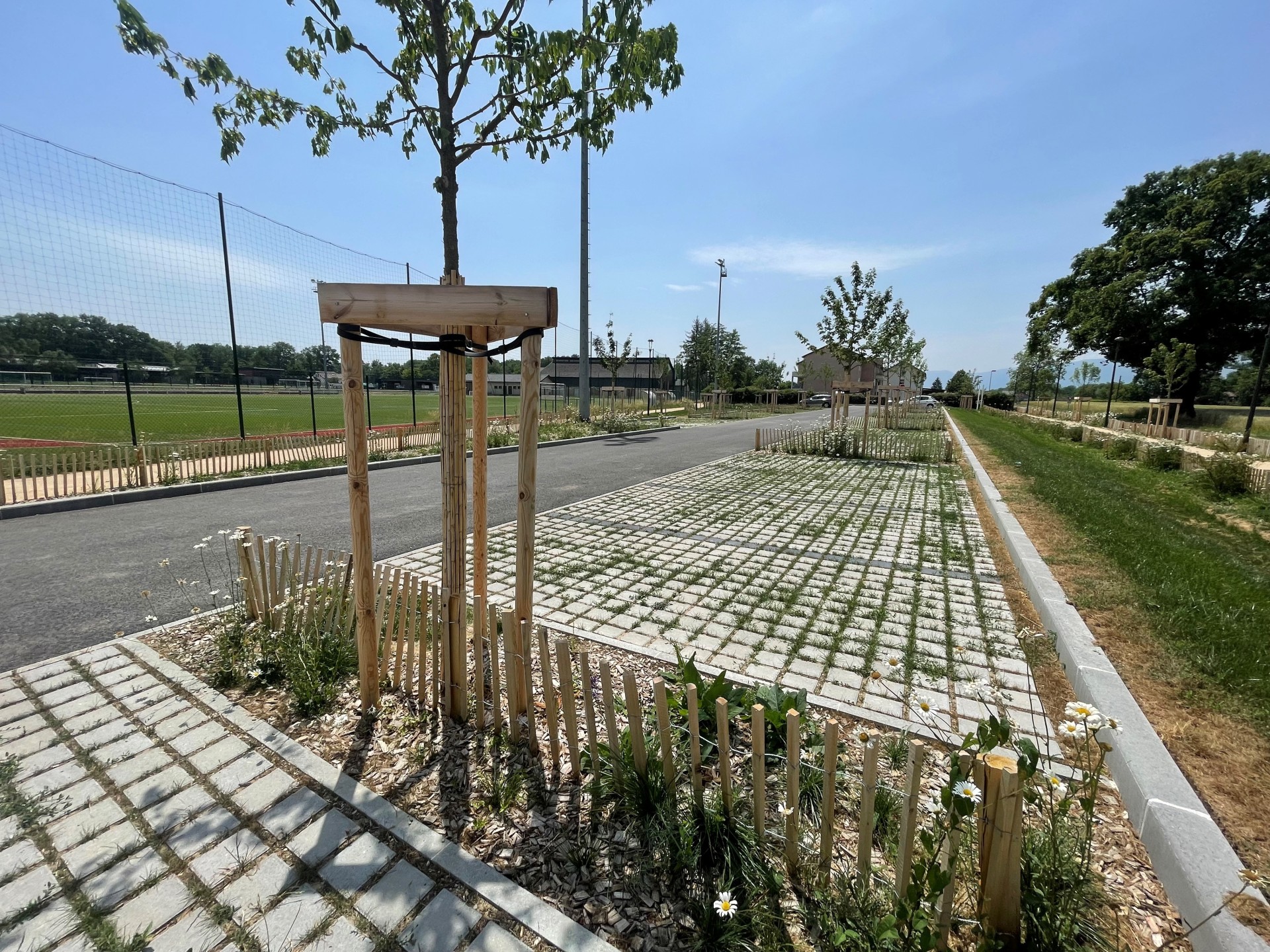 0e241f74ec4baf8e54bb2989bd70717b25c1fe9f