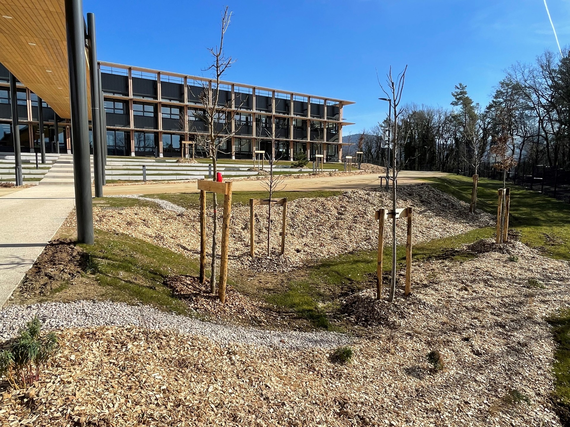 297785a346de0dcf474bc9f8ead683263e9e4005