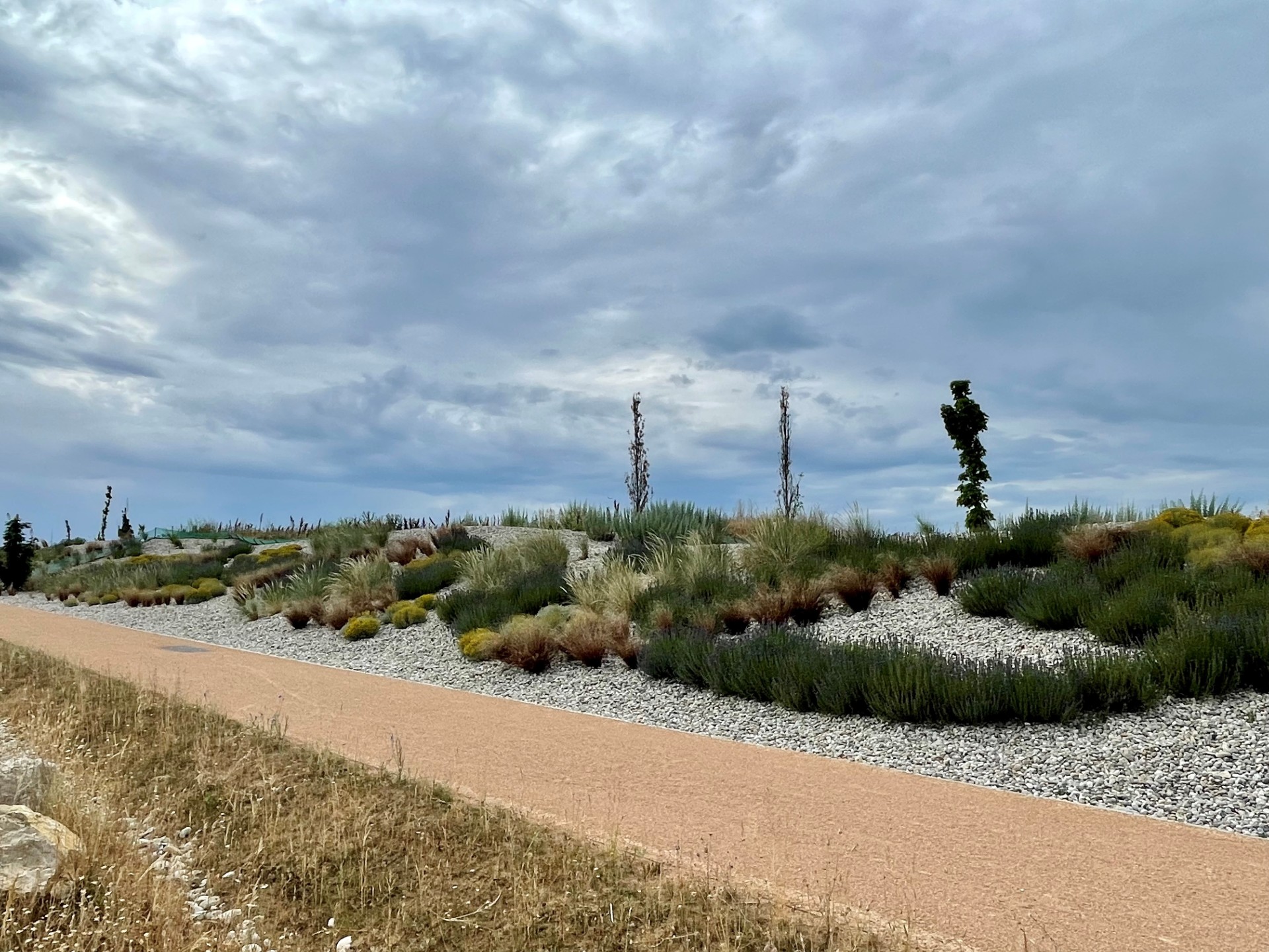 2ff2f36329a5faf5ad262fb9604cd15df25ec528