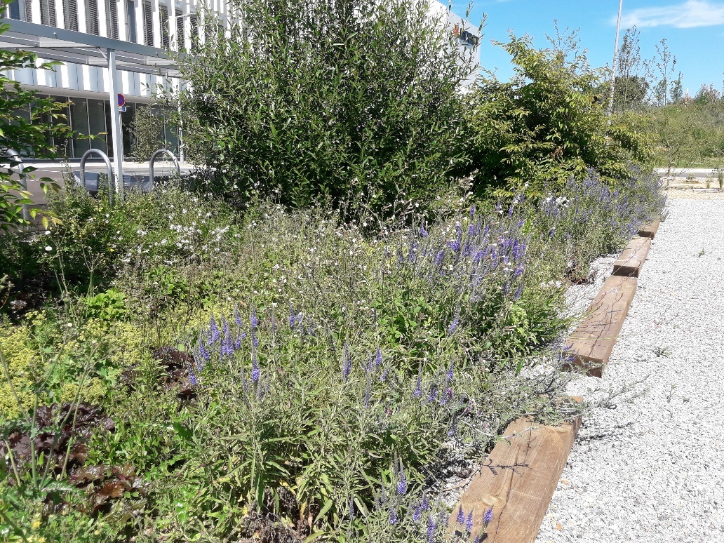 63d30113e69c13e055f273d655ce8f7c8cbf86d2 63d30113e69c13e055f273d655ce8f7c8cbf86d2