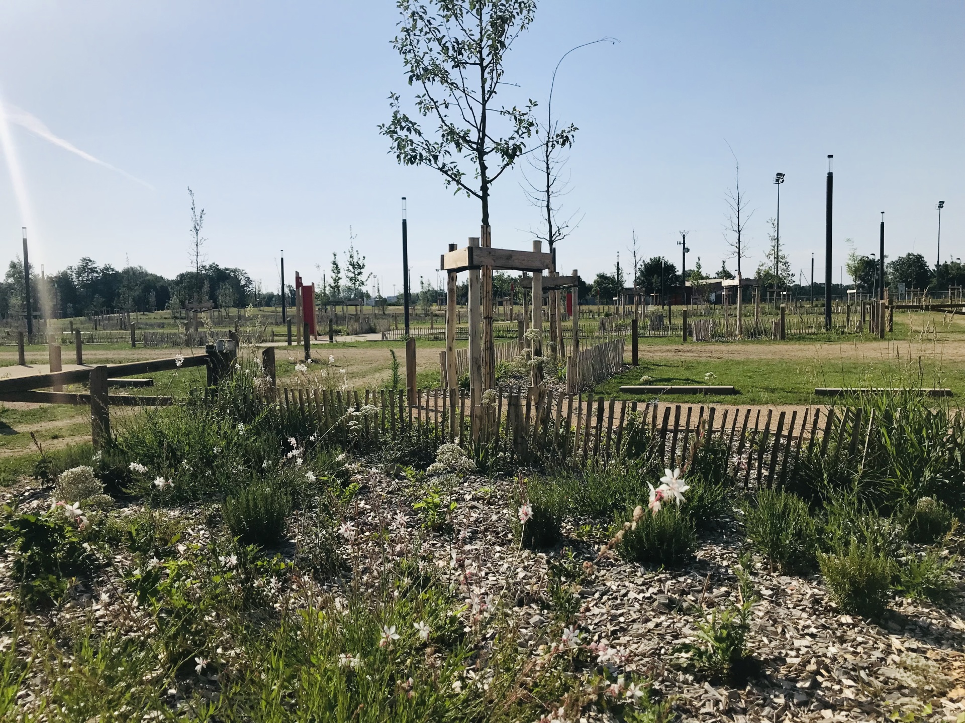 87c6d0d71a4e03aea3add0ddb0ef2e7e5176183c