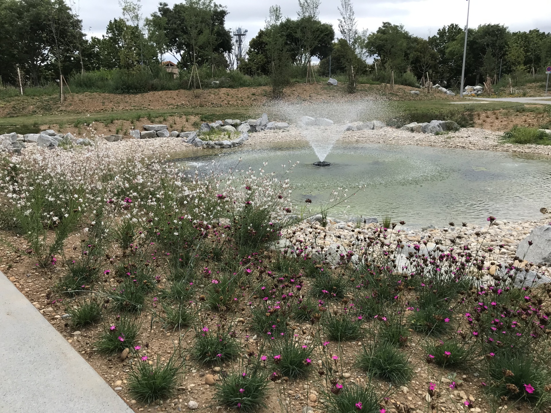 928e456863131a6b161b84babf272350c415b927