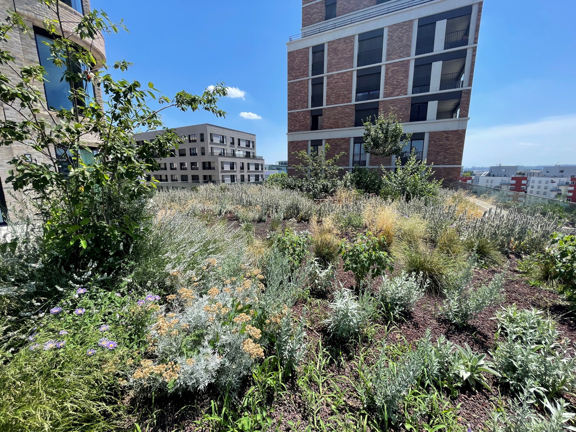 982a6c751c23ccc282404395837b9f8abe4e780a 982a6c751c23ccc282404395837b9f8abe4e780a