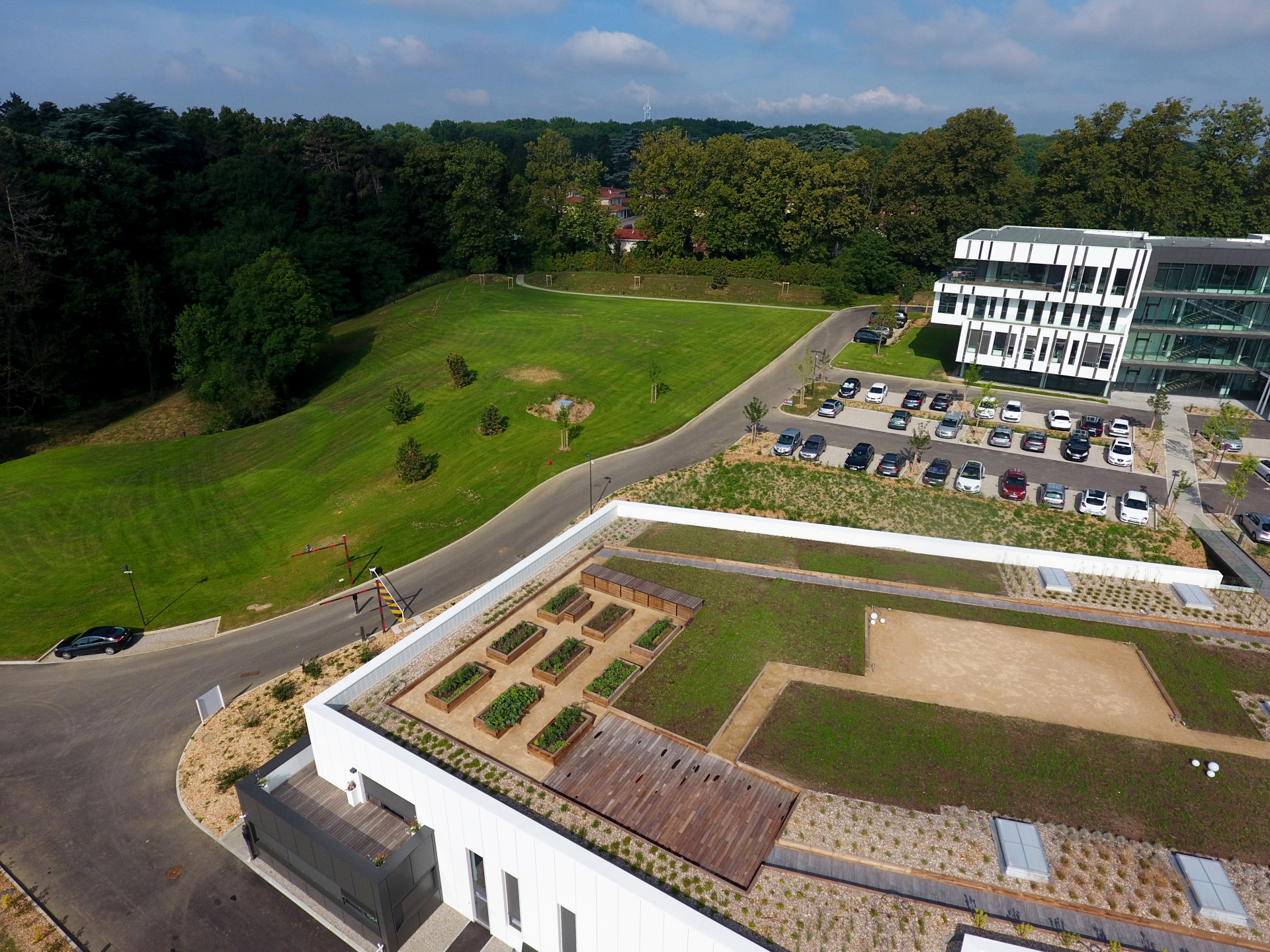 b7b337e0b076421a49d74a2e8fa20687939a54b7