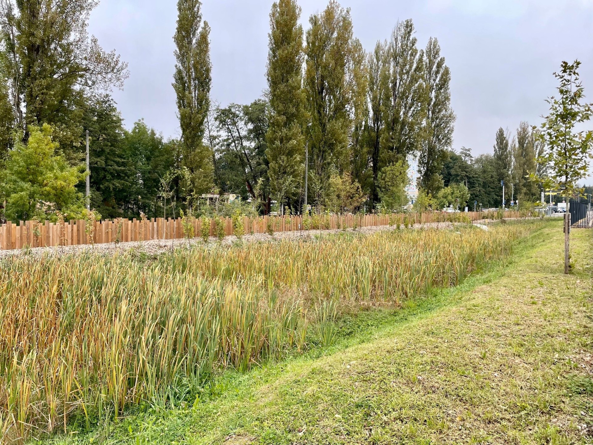 c08312281b5e568b9f42dba46e82da6d38c90365