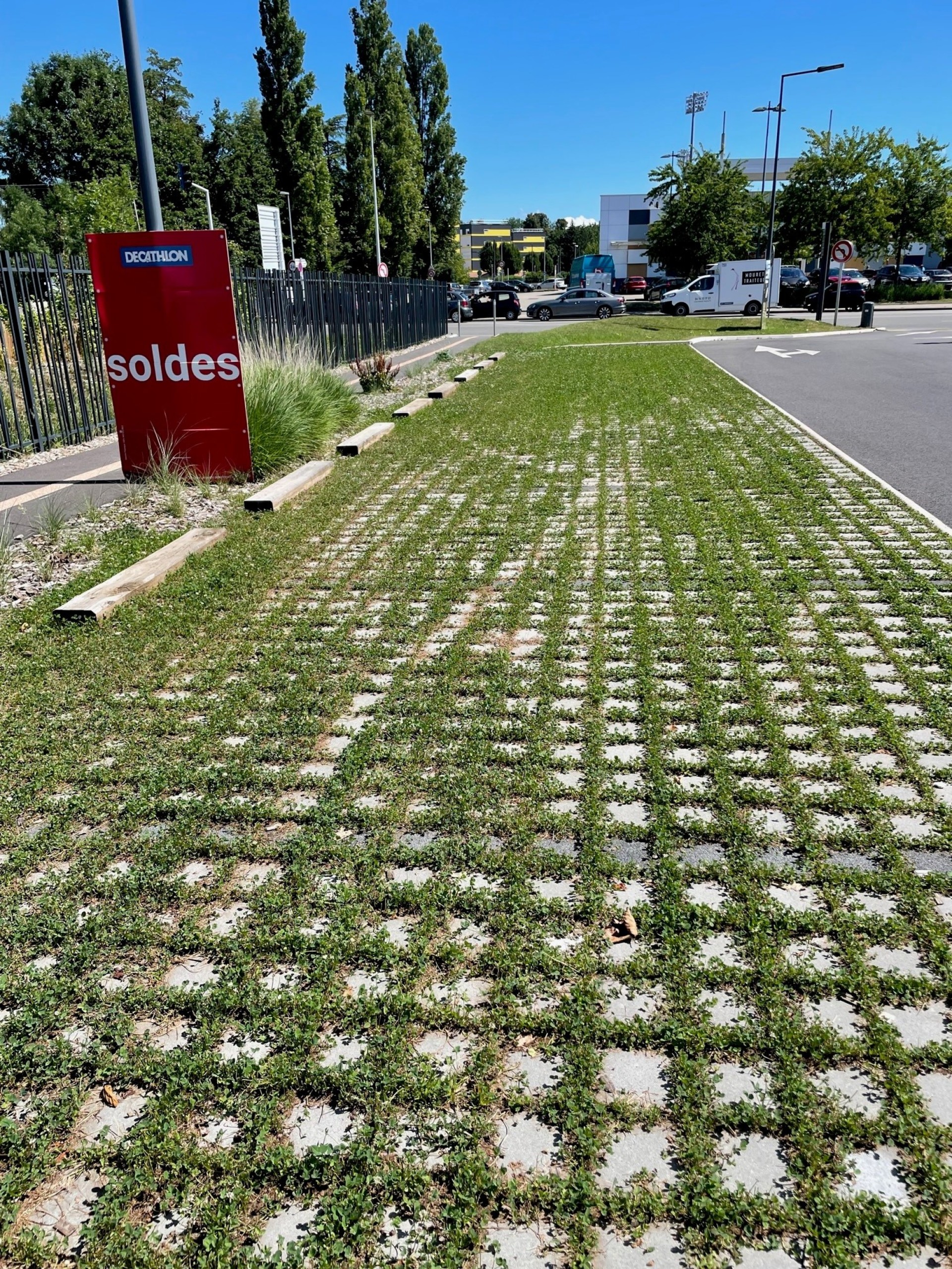 cd3d48cf73f005f1899e4ccb54a971ce4308a329