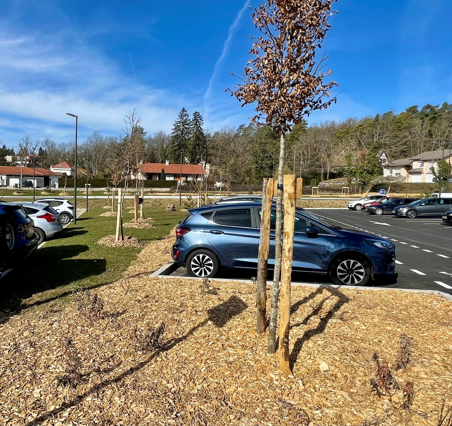 e22d416fe882da6085d5c0c41daa6eb7d6788be8